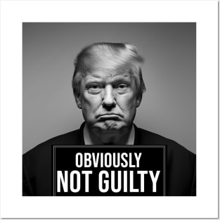 Trump Mugshot Posters and Art